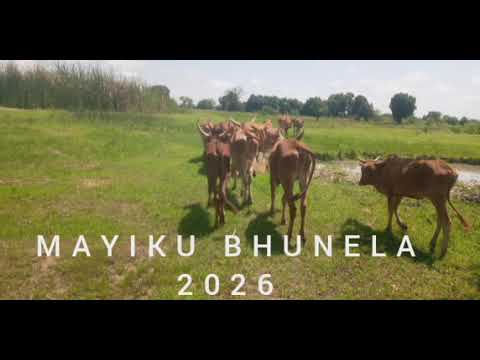 MAYIKU BHUNELA 2026 UJUMBE NABHAGESHE