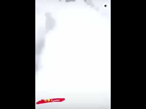 تصميمي شفتيني شكد حبيتة