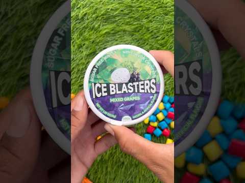 Oren S Kitten Chases His Grandmother Comedy Cat Cute Catlovers Cutecat Pets Funny