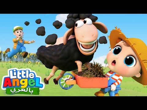خ خ خروف أسود مجموعة اغاني أطفال Little Angel Arabic Baa Baa Black Sheep