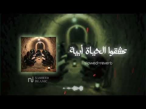 عشقوا الحياة أبية Slowed Reverb
