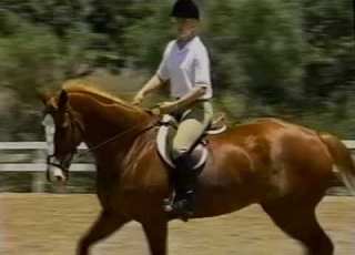  Riding To Win 1995 VHS