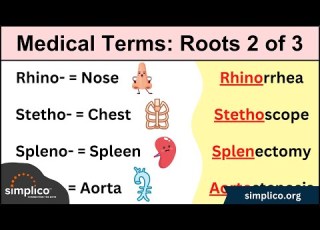  Medical Terminology MADE EASY Root Words Part II Nursing Flash Cards