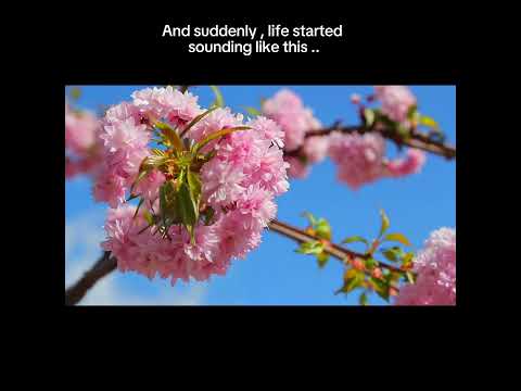 Sounding Like This Hangover Ringtone Lyrics Viral Love Trending Shorts