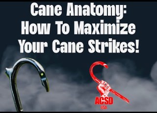 Cane Self Defense Cane Anatomy How To Maximize Your Cane Strikes