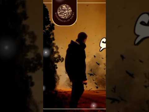 قصيدة النفس تبكي على الدنيا للإمام علي بن أبي طالب علي بن ابي طالب اناشيد اسلامية