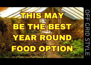  CHEAPER MORE EFFECTIVE OPTION THAN A GREENHOUSE