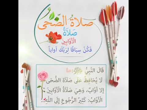 صلاة الضحى صلاة الأوابين