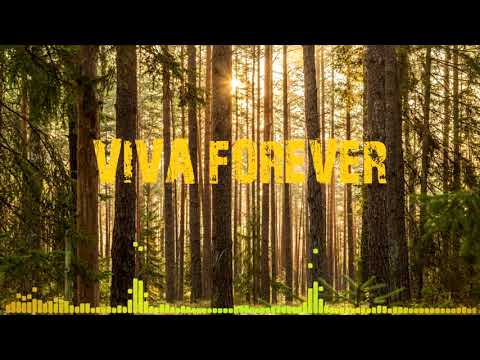 Spice Girls Viva Forever Slow Reverb