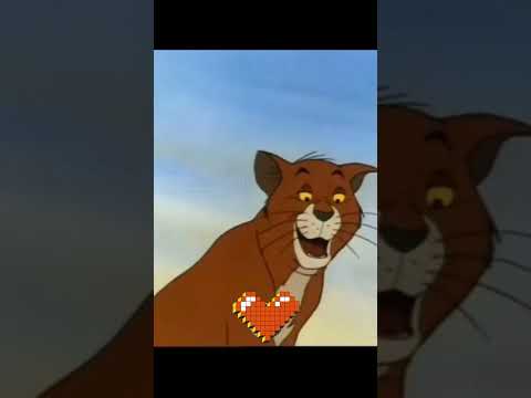 ونتي زين ديالي لي شاغلا بالي