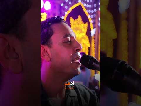 كل طير هاجر رجع بعد التعب بعد السفر مصطفى الحلوانى