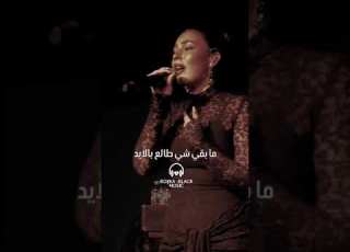  وانت بعيد على عرب الموال
