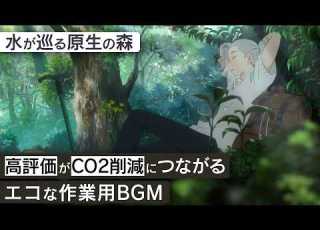 作業用BGM 屋久島 水が巡る原生の森 睡眠 勉強 集中