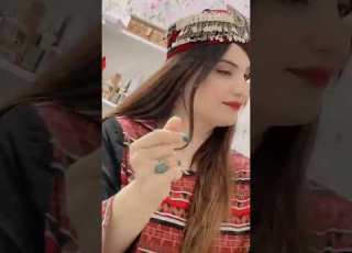  Ziba Gully Zibagull
