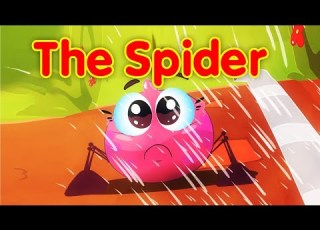 The Spider Toyor Baby English