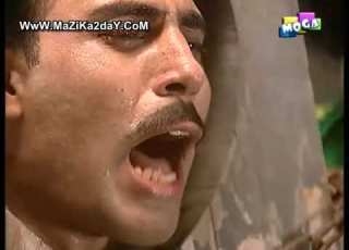الدباديب والفلوس