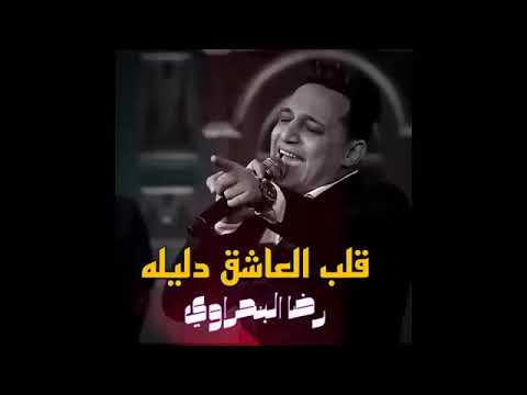 رضا البحراوي قلب العاشق دليله أغاني جديده تريند تيك توك