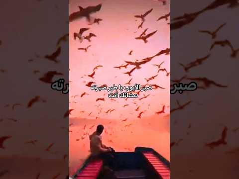 صبر الأيوب يا طير خالد عجاج