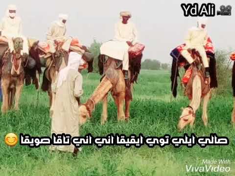 اغاني زغاوة مدبلج للفنان ماجد كوريا