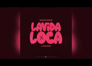 Sarkodie X Lasmid Lavida Loca Instrumental
