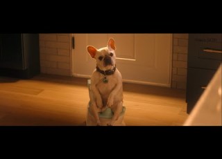  Best Funny Scenes Family Switch 2023