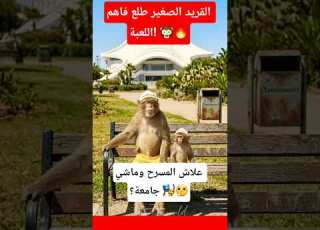 كلام عمي قردون فيه بزاف ديال المعاني صدم ولدو