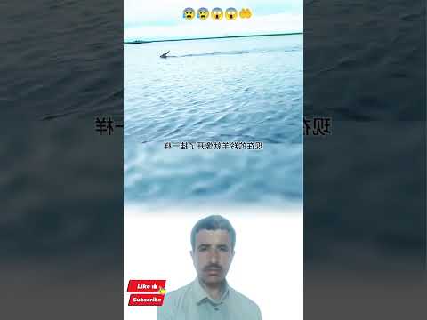 مطارة وسط النهر لكن العناية الإلهية تسبق الخطر ترند اليوم Youtubeshorts Shorts Explore