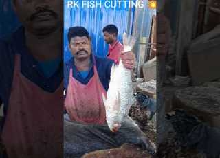  Kasimed Speed Selvam Fishcutting Fishcuttingskills Rkfishcutting Asmr Seafood