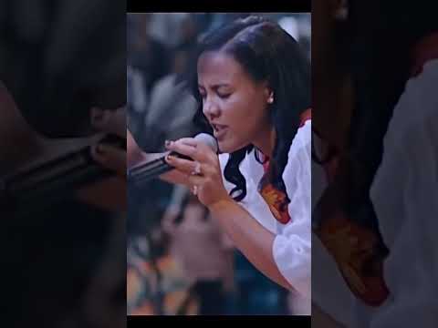 Protestant Mezmur Mezmur Protestant New Song Protestant Mezmur New Song Mezmur Protestant Song