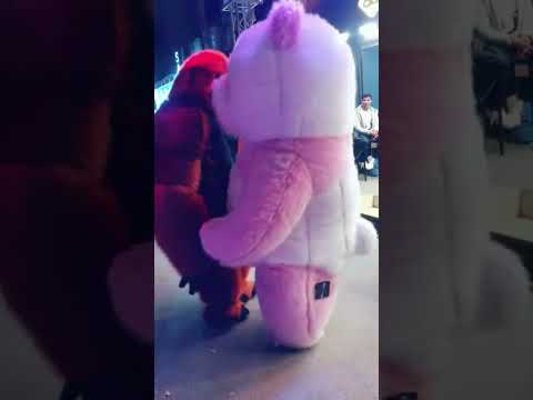 الباندا والغوريلا Explore Dance اكسبلور ترند اضحكك الغوريلا Rap Music