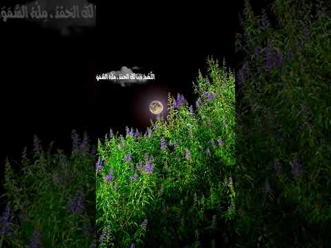 إذا عدت لله في كل حال