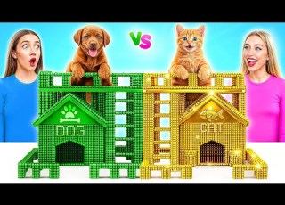 We Build Secret Rooms For Pets Rich Cat Vs Poor Dog By Multi DO Smile