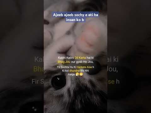 Ajeeb Ajeeb Sochay E Ati Ha Insan Ko Shortvideo Shortsviral Short Shortsfeed Subscribe