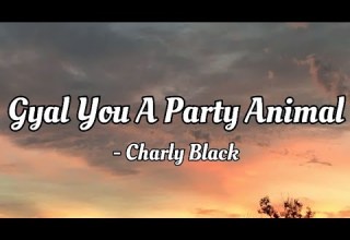 Charly Black Gyal You Are A Party Animal Lyrics Video