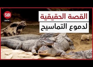  دموع التماسيح تنسب للنساء فقط أم أنها قصة حقيقية
