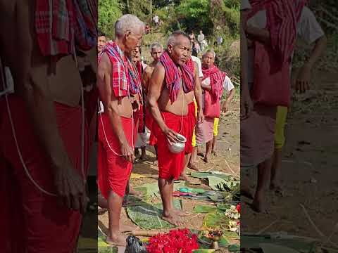 Ochai Kotor Hodani Lampra Puja Romani Jamatia Hoda Gomati River 17 03 2026