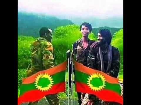 Sirba WBO Abdii Sabaa Ja Uu Kana Itiin Boharaa