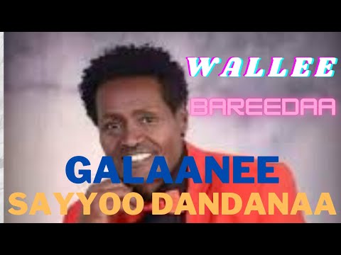 Sayyoo Dandanaa Galaanee Warra Galaanii Oromo Music Sayyoo Dandanaa Galaanee Warra Galaanii Oromo Music