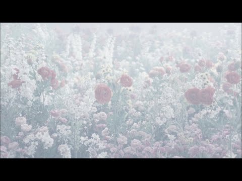 BUMP OF CHICKEN Smile