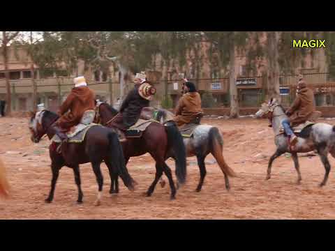 عودي يا عودي وربيتك كي ولدي في كل حفلة نمشي أنا وياك علفة الأصيل تصوير الفنان حمودة بن جراد ماجيكس