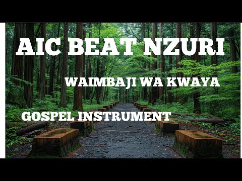 Biti Nzuri Ya Kwaya AIC CHOIR BITI NZURI YA KISASA PIGA 0694243322 Free Beat Instrument