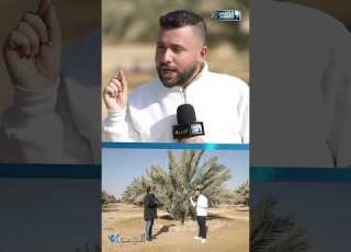  أفضل مزارع المجدول مجدول الجدعان محمد غانم