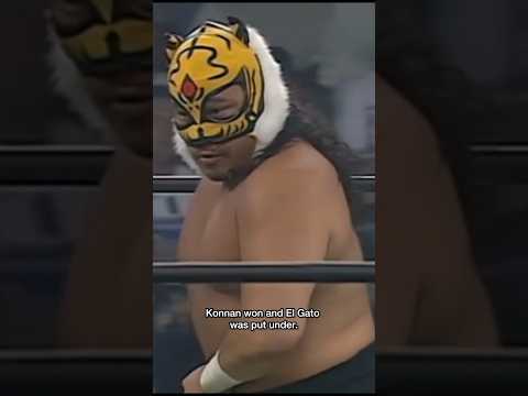 WCW S Fake Luchadore