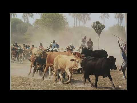 Hakainde Ngali Matongo Okwenu Tonga Music
