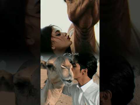 ياوليف الروح يا عيني بدون حقوق ستوريات انستا بدون موسيقى تصاميم شيلات