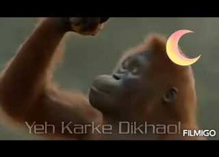 Nyani Akifurahia Wali