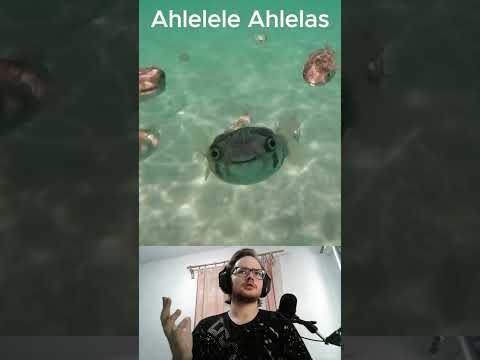 Ahlelele Ahlelas Memes From Tiktok Memes Fup