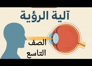  ٱلية الرؤية علوم الصف التاسع