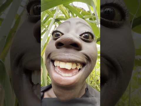 Viral Black Boy Nigeria Black Guys Viral Funnyvideo Youtubeshorts