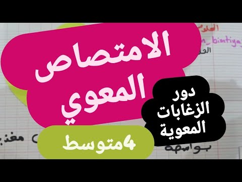 4 متوسط الامتصاص المعوي شرح جد جد مبسط ويدخل في الراس تمتم 4 متوسط الامتصاص المعوي شرح جد جد مبسط ويدخل في الراس تمتم